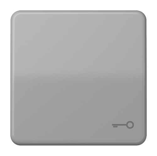 Клавиша JUNG CD 500, серый