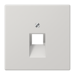 Накладка на розетку информационную JUNG LS 990, светло-серый